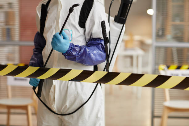 Professional Sewage Cleanup technician working in Roachdale, IN